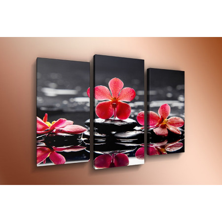 Модульная картина 60х80 "Красные орхидеи на воде" ТР270