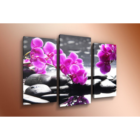 Модульная картина "Орхидеи и камни" 60х80 ТР266