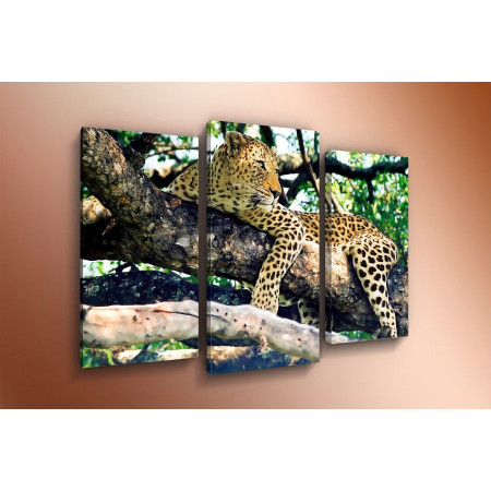 Модульная картина "Леопард в тени" 60х80 ТР1595