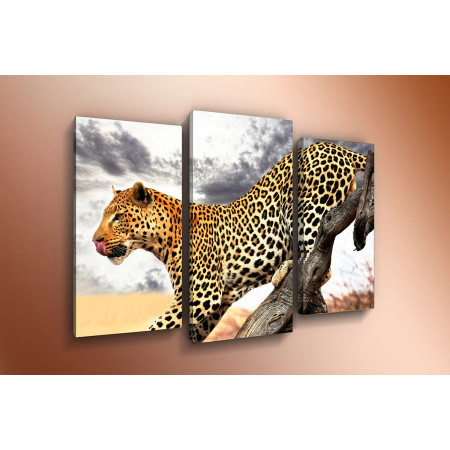 Модульная картина "Леопард на охоте" 60х80 ТР1449
