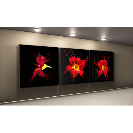 Модульная картина "Красная лилия брызги" 50х150 КВ93