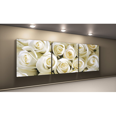 Модульная картина "Белые розы" 50х150 КВ55
