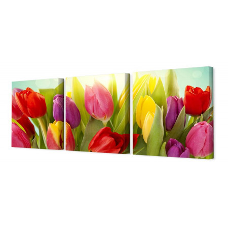Модульная картина "Волнующие тюльпаны" 35х110 N65