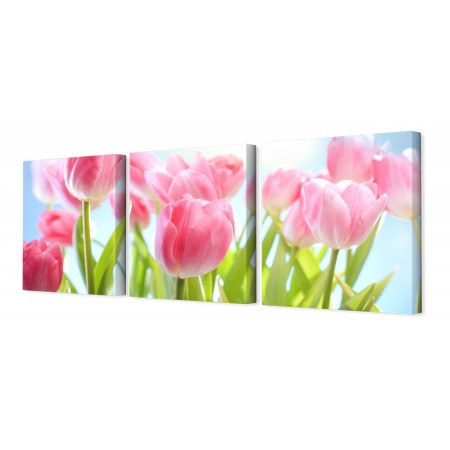 Модульная картина "Нежные тюльпаны" 35х110 N44