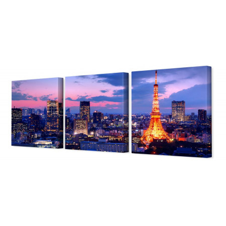Модульная картина "Рассвет в Париже" 35х110 N33