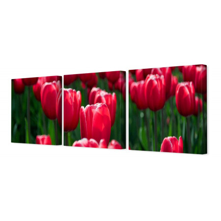 Модульная картина "Долина розовых тюльпанов" 35х110 N261