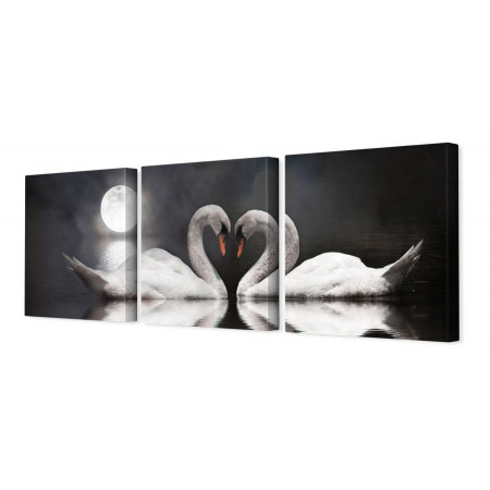 Модульная картина "Лебеди в ночи" 35х110 N250