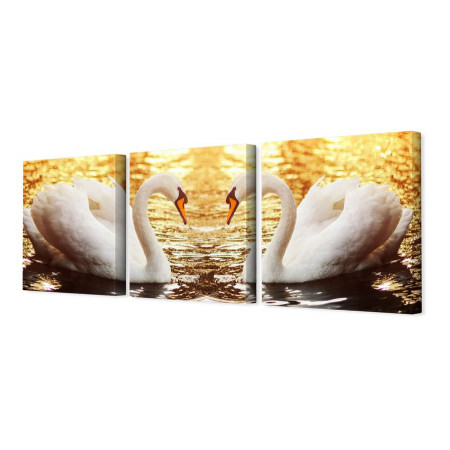 Модульная картина "Сказочно красивые лебеди" 35х110 N249