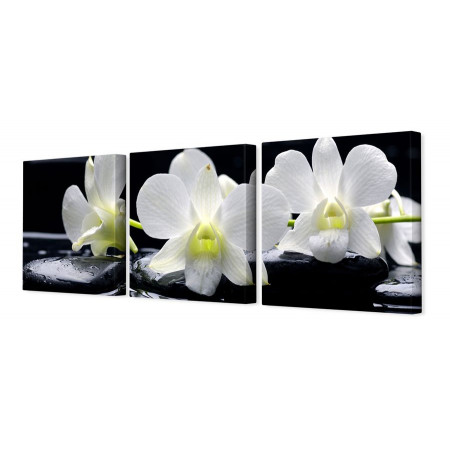 Модульная картина "Три белых орхидеи" 35х110 N231