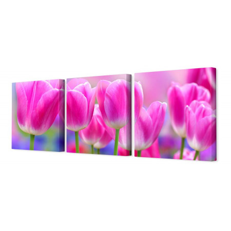 Модульная картина "Розовые тюльпаны" 35х110 N202