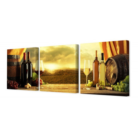 Модульная картина "Красное и белое вино" 35х110 N136