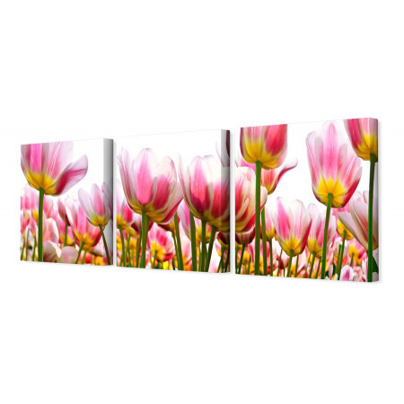 Модульная картина "Нежно-розовые тюльпаны" 35х110 N128