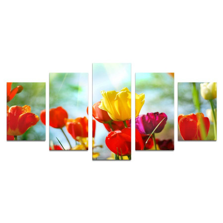 Модульная картина "Разноцветные тюльпаны на солнце" 110х50 К997