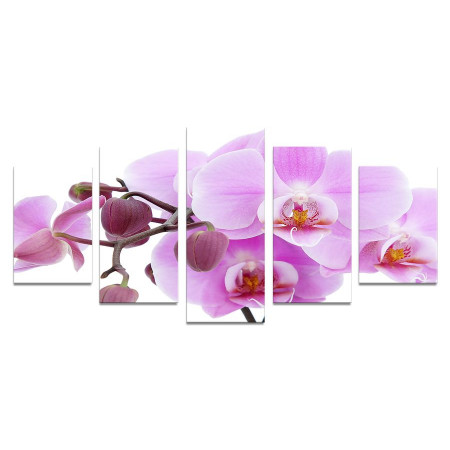 Модульная картина "Роскошная орхидея" 110х50 К976