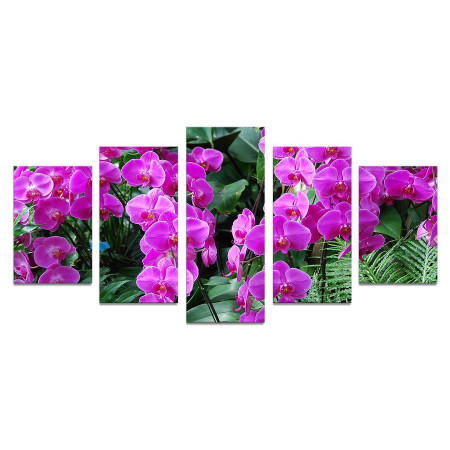 Модульная картина "Райские орхидеи" 110х50 К975