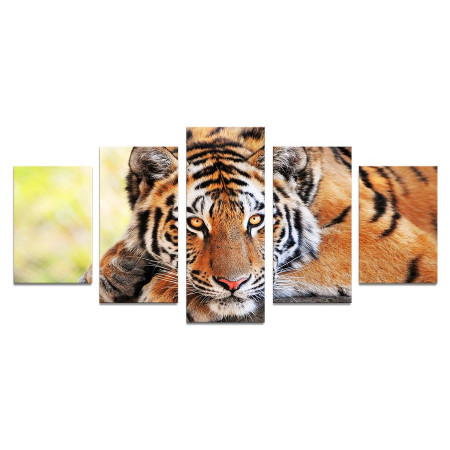 Модульная картина "Взгляд тигра" 110х50 К942