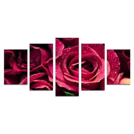 Модульная картина "Прекрасные розы" 110х50 К848