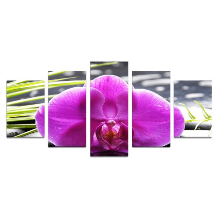 Модульная картина "Крупная орхидея" 110х50 К808