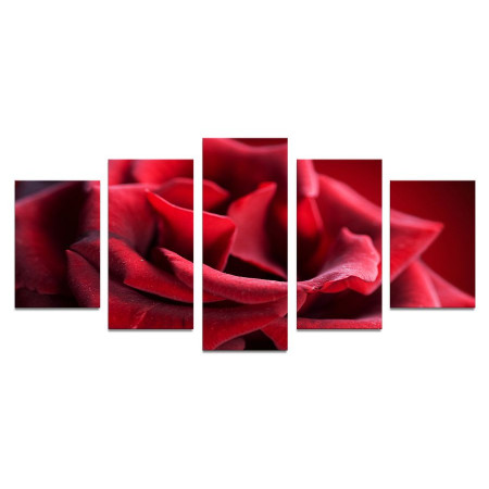 Модульная картина "Нежная красная роза" 110х50 К806