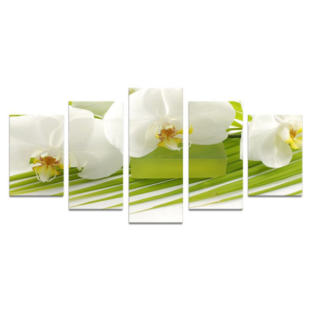 Модульная картина "Нежные белые орхидеи" 110х50 К805