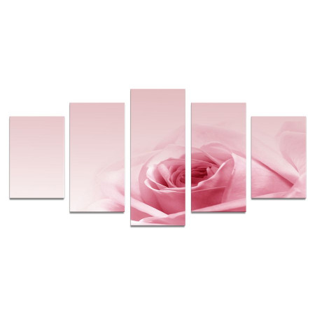 Модульная картина "Нежность розы" 110х50 К800