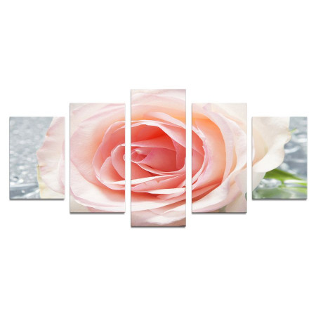 Модульная картина "Хрупкая роза" 110х50 К795