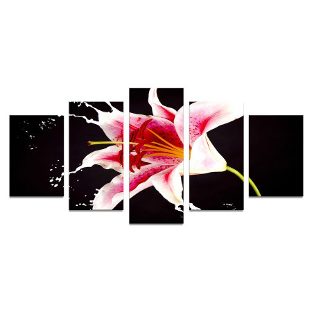 Модульная картина "Розовая лилия брызги" 110х50 К778