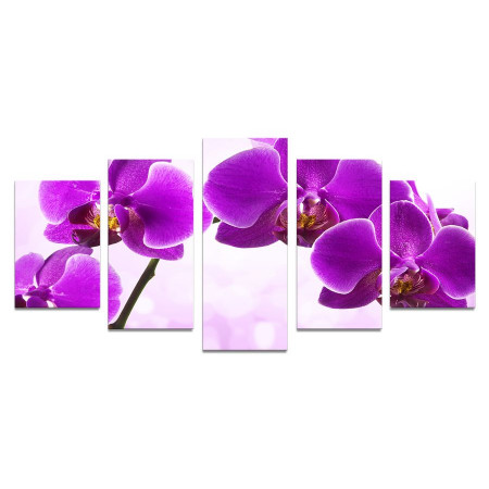 Модульная картина "Фиолетовая орхидея" 110х50 К767