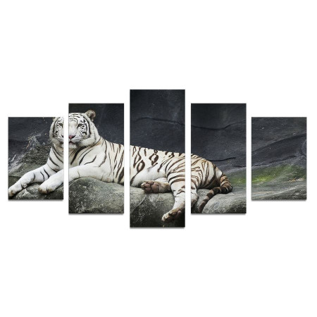 Модульная картина "Величественный белый тигр" 110х50 К745