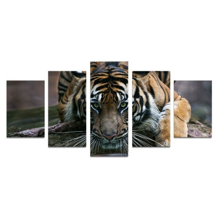 Модульная картина "Тигр с зелеными глазами" 110х50 К744