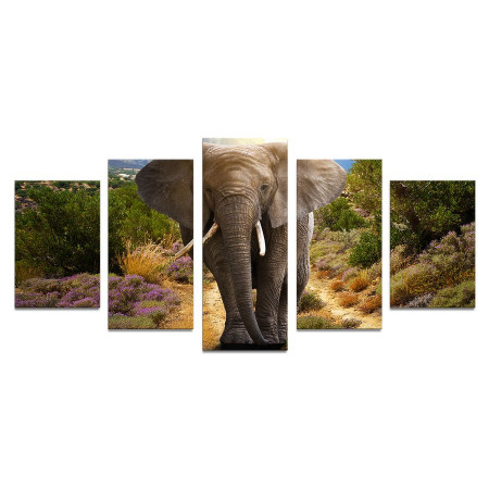 Модульная картина"Слон в горах" 110х50 К743