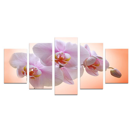 Модульная картина "Нежная орхидея" 110х50 К698