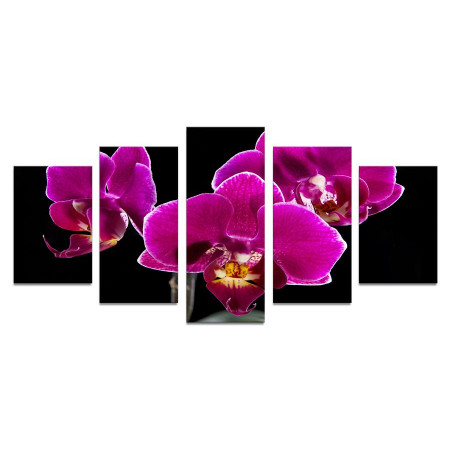 Модульная картина "Божественные орхидеи" 110х50 К690