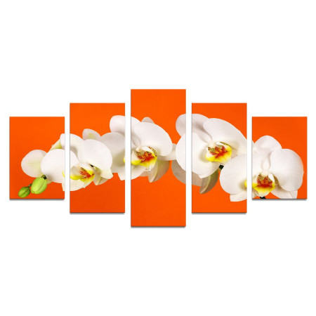 Модульная картина "Орхидея на оранжевом фоне" 110х50 К686