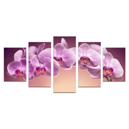 Модульная картина "Веточка орхидеи" 110х50 К678