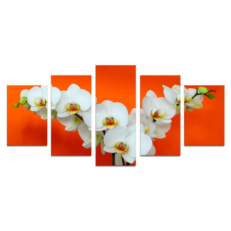 Модульная картина "Веточки орхидеи на оранжевом" 110х50 К672