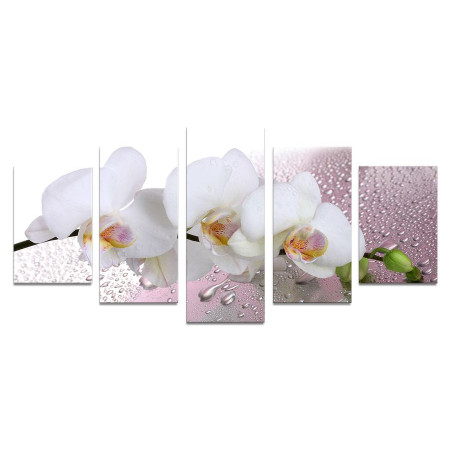 Модульная картина "Свежесть орхидеи" 110х50 К669