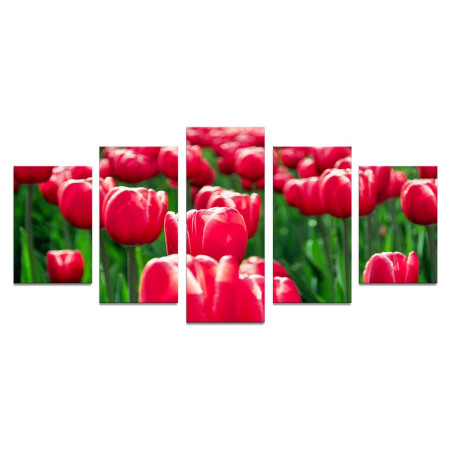Модульная картина "Долина розовых тюльпанов" 110х50 К629