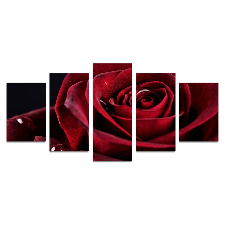 Модульная картина "Бархатная роза" 110х50 К597