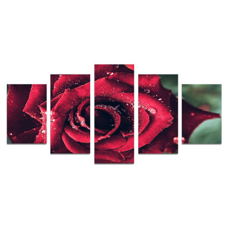 Модульная картина "Роза в каплях росы" 110х50 К589
