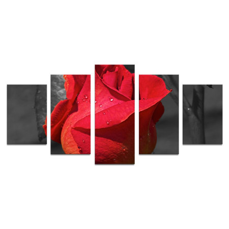 Модульная картина "Бутон розы" 110х50 К561