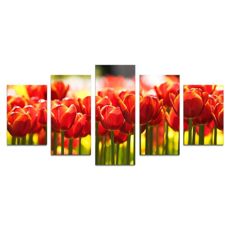 Модульная картина "Тюльпаны в лучах солнца" 110х50 К560