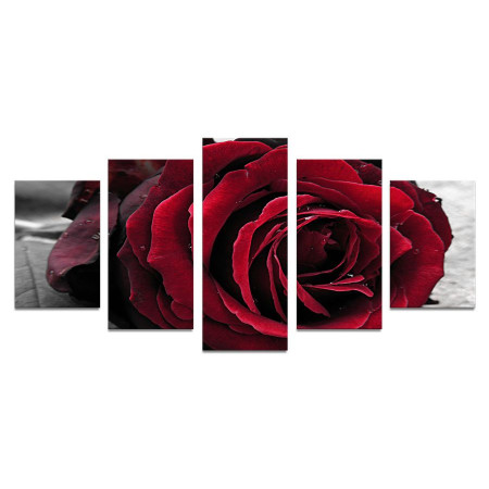 Модульная картина "Крупная роза" 110х50 К507
