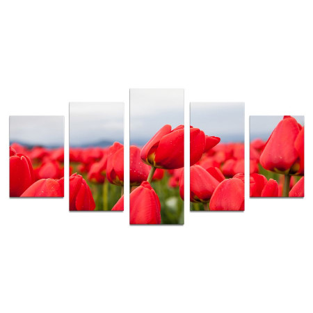 Модульная картина "Красные тюльпаны" 110х50 К506