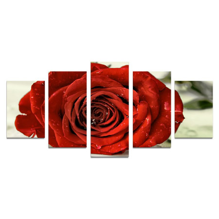 Модульная картина "Красная роза" 110х50 К504