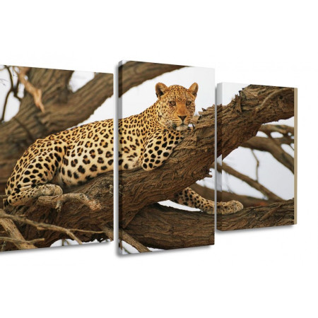 Модульная картина "Леопард на дереве" 100х60 S753