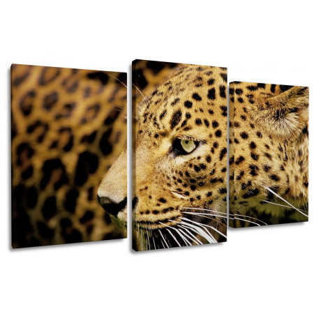 Модульная картина "Зеленоглазый леопард" 100х60 S750