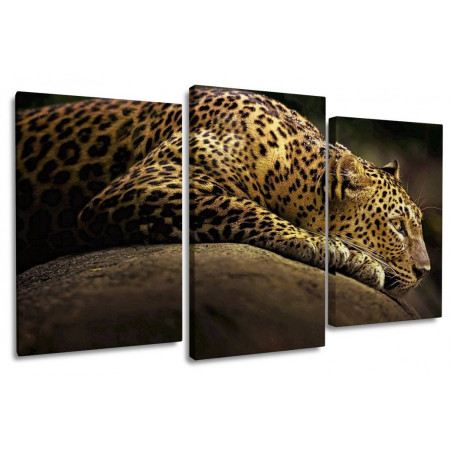 Модульная картина "Леопард на отдыхе" 100х60 S749