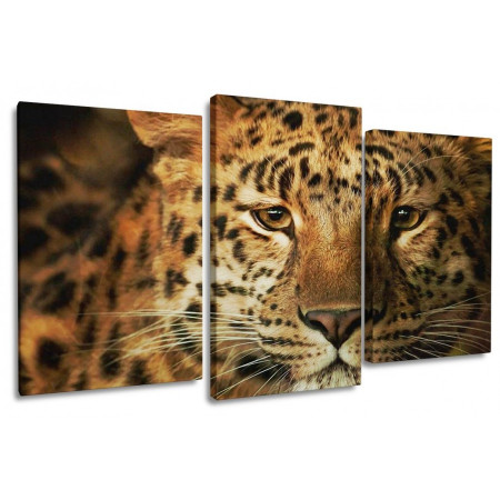 Модульная картина "Взгляд леопарда" 100х60 S748