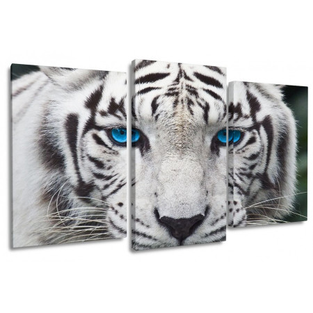 Модульная картина "Голубоглазый тигр" 100х60 S746